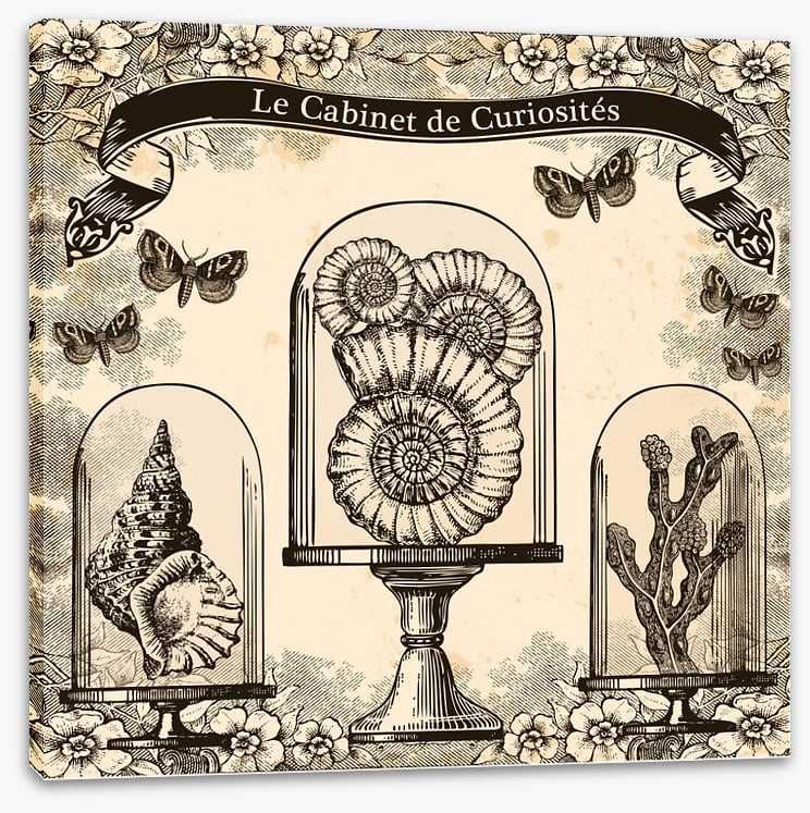 Cabinet de curiosites