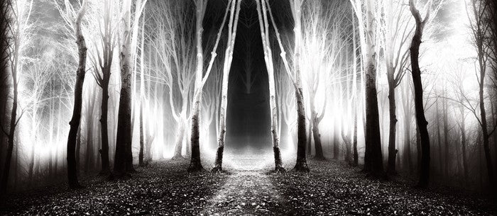 Forests