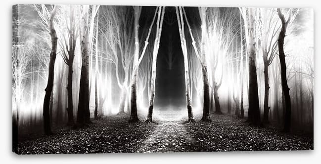 Forests