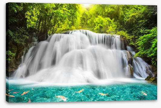 Tropical jungle waterfall