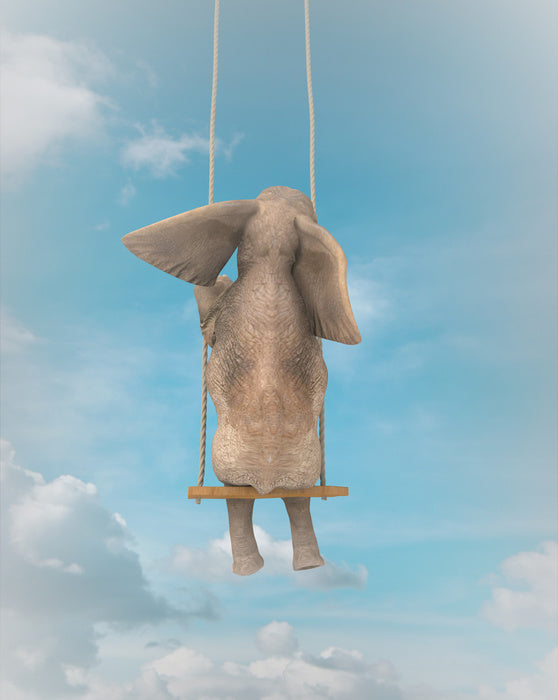 Elephant on the swing