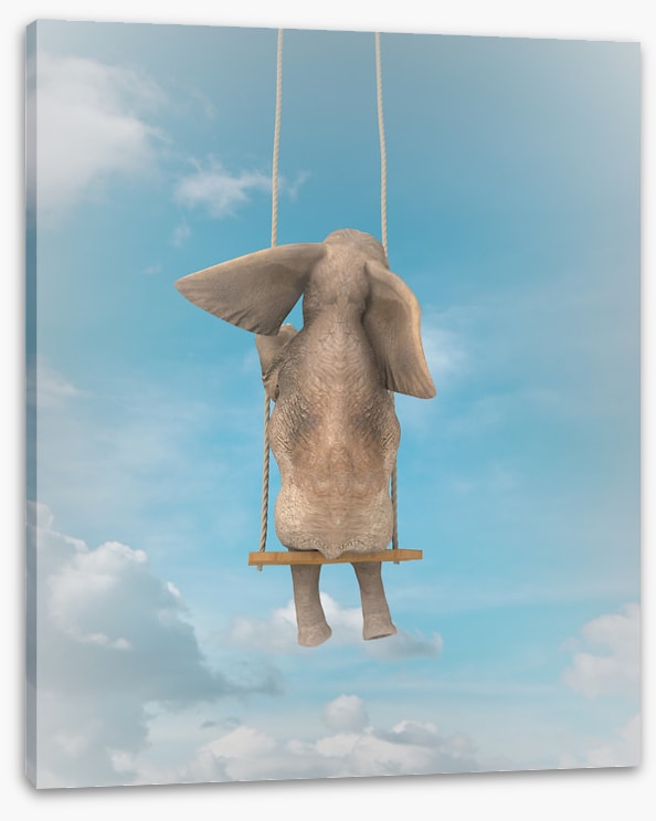 Elephant on the swing