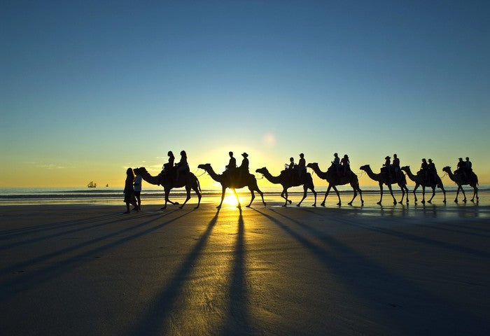 Bedouin beach