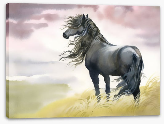 Black horse in the breeze