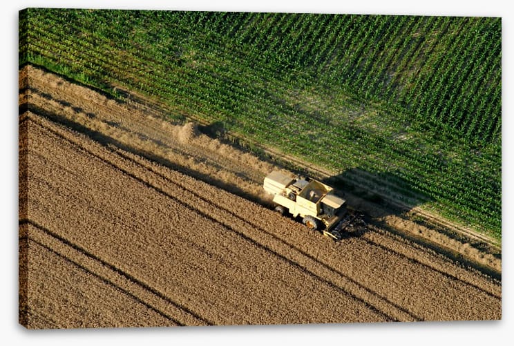 Agriculture