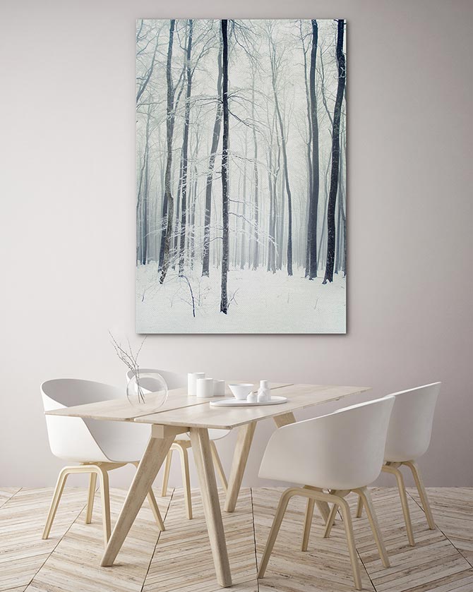Winter forest