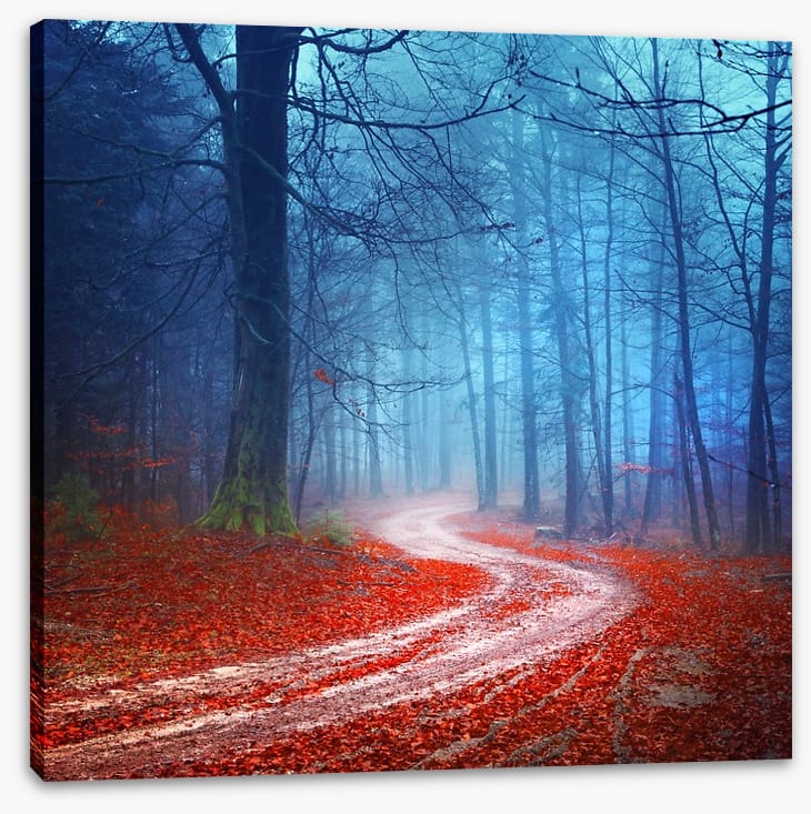 Magical forest road