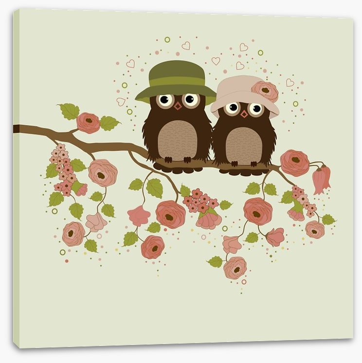 Old owls forever