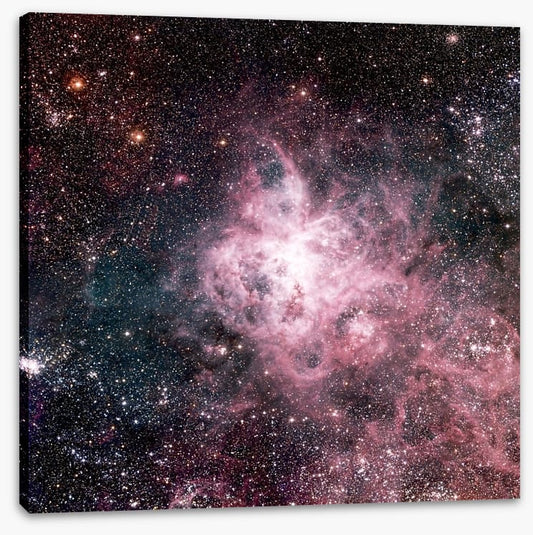The tarantula nebula