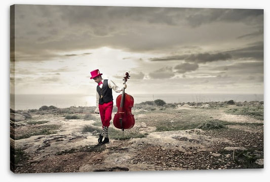 The red cellist
