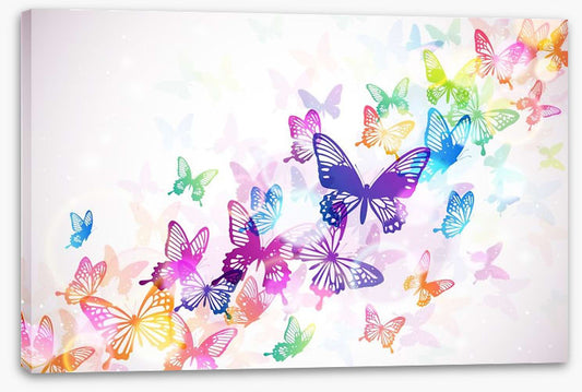 Butterfly rainbow