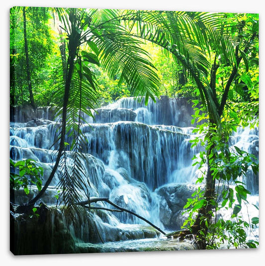 Tropical waterfall