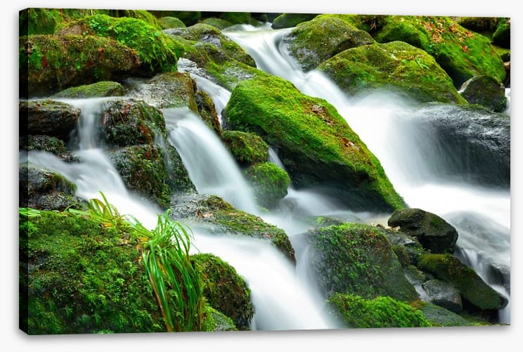 Green moss cascades
