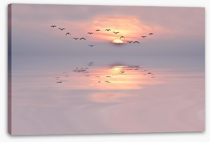 Soft pink dawn