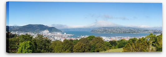 Otago Bay panorama