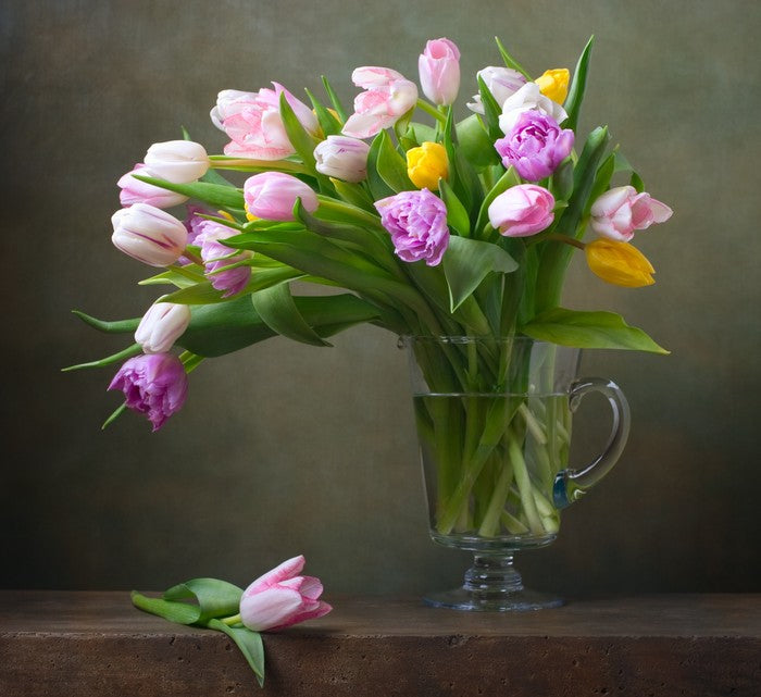 Still Life