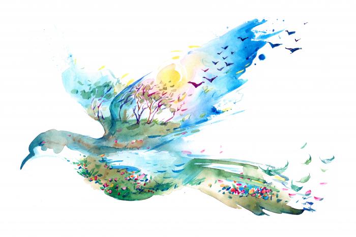 The flight of Spring
