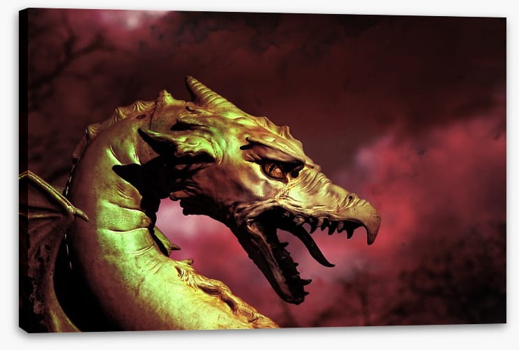 Dragons