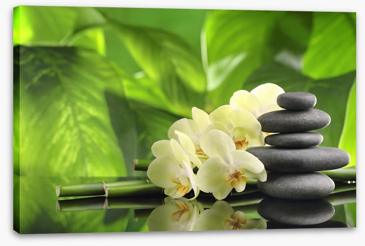 Green spa zen