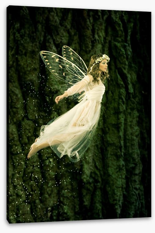 Flight of the fairy