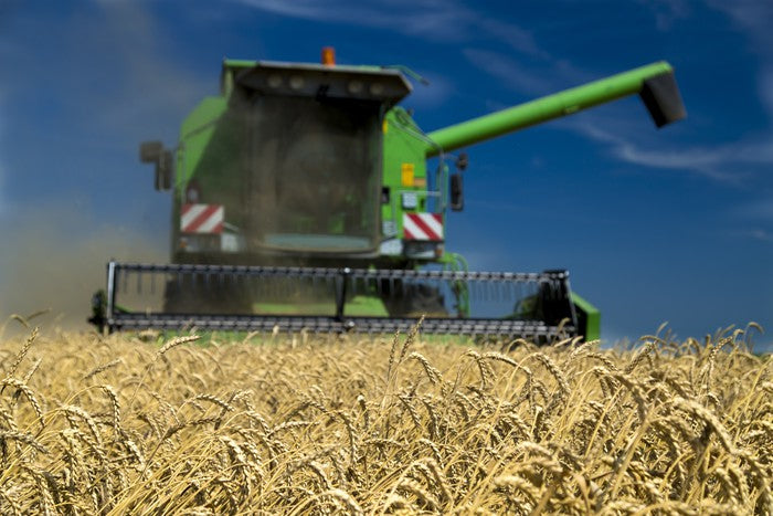 Agriculture