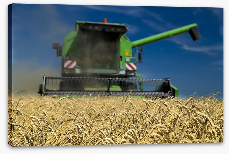 Agriculture