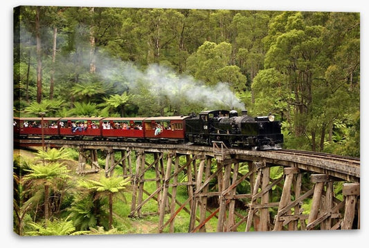 Puffing Billy steam train