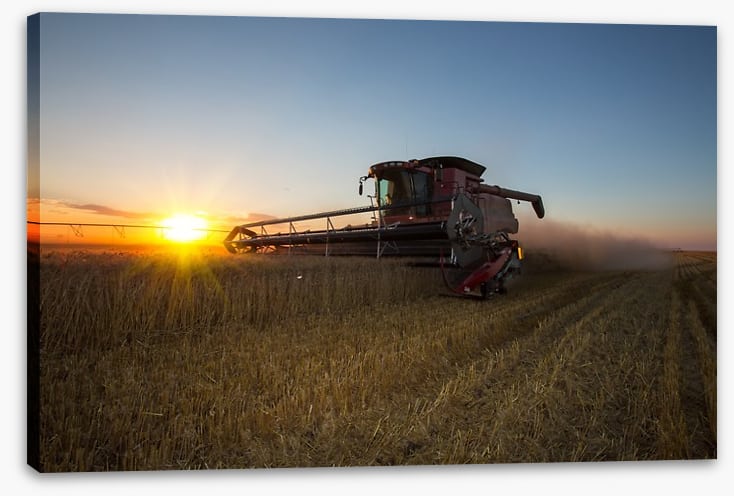 Agriculture