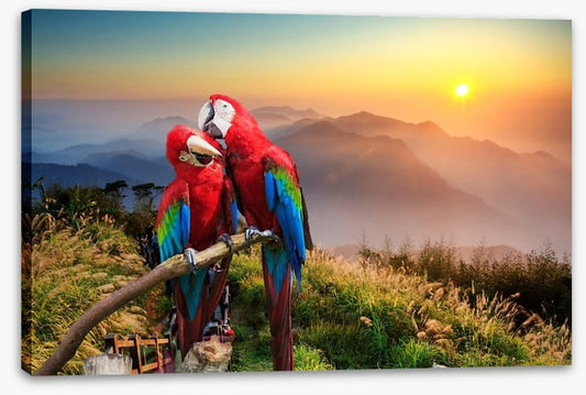 Mountain Macaw