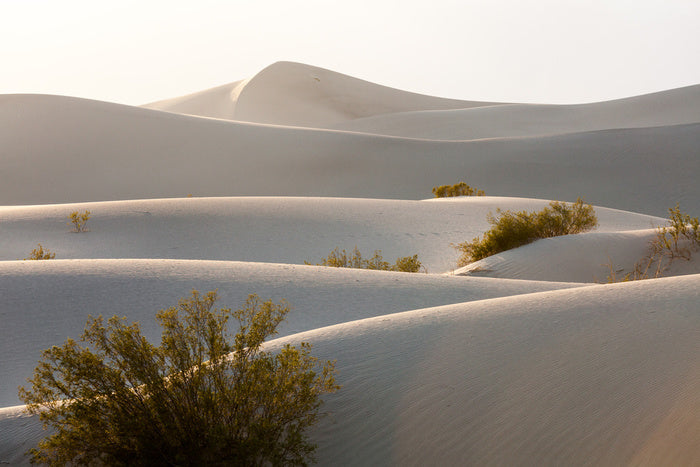 Desert