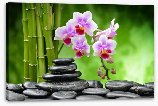 The balance of harmony