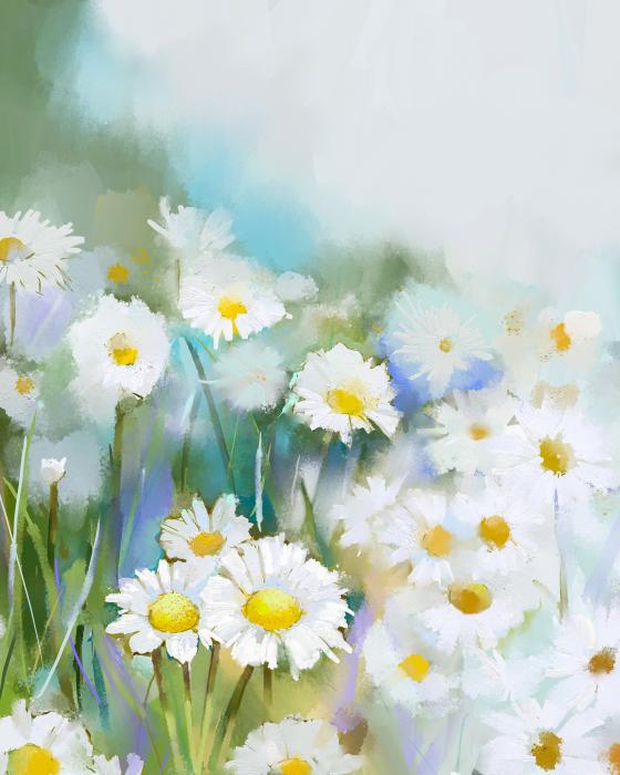 Daisy days
