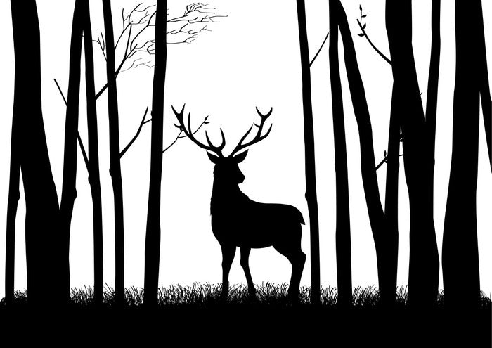 Deer in the woods