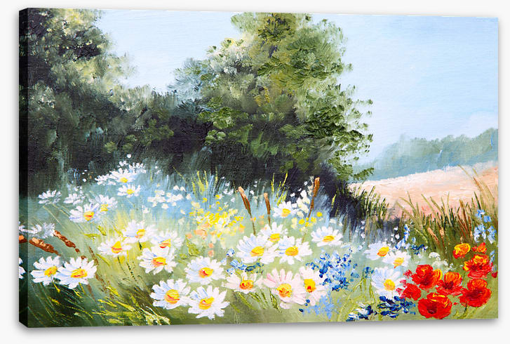 Daisy season