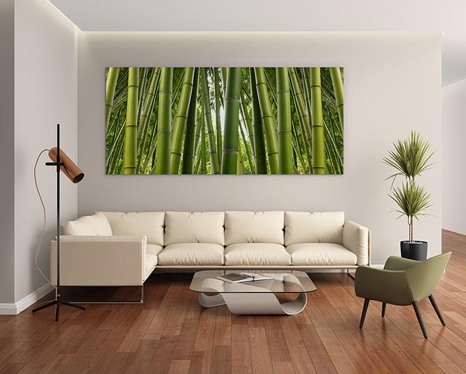 Bamboo jungle