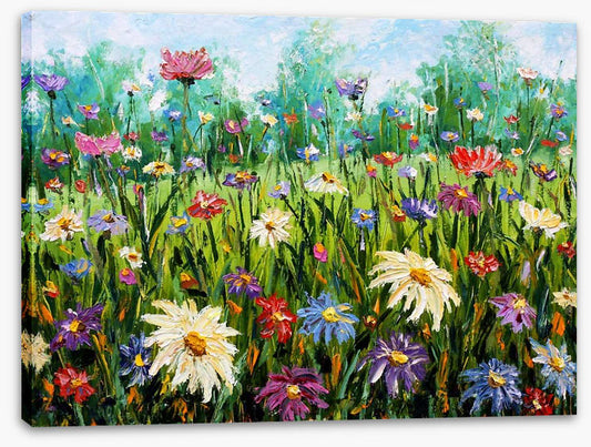 Spring wildflower meadow