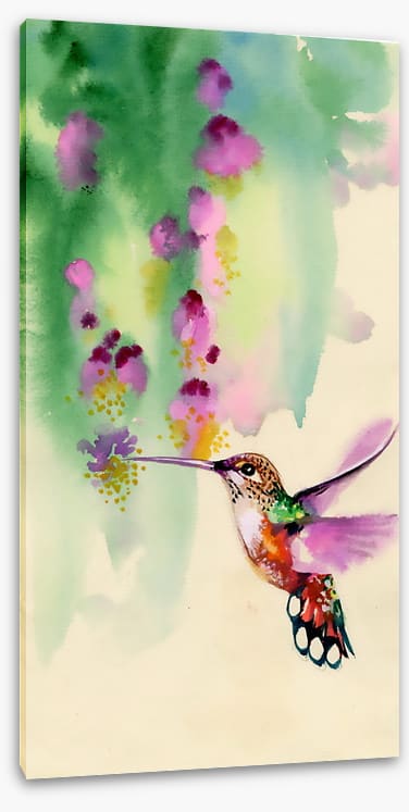 Hummingbird hang