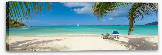 Palm frond beach panoramic