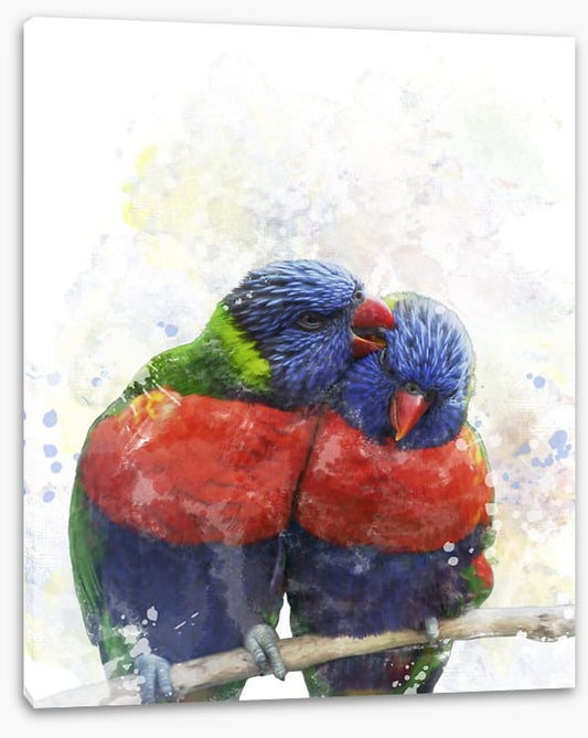 Rainbow lorikeet love