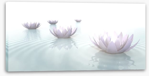 Soft floating lotus