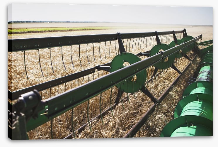 Agriculture
