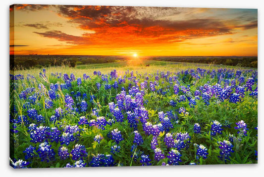 Sunset on Sugar Ridge Road