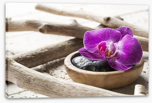 Driftwood orchid
