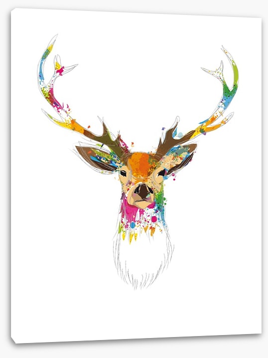 Deer oh deer