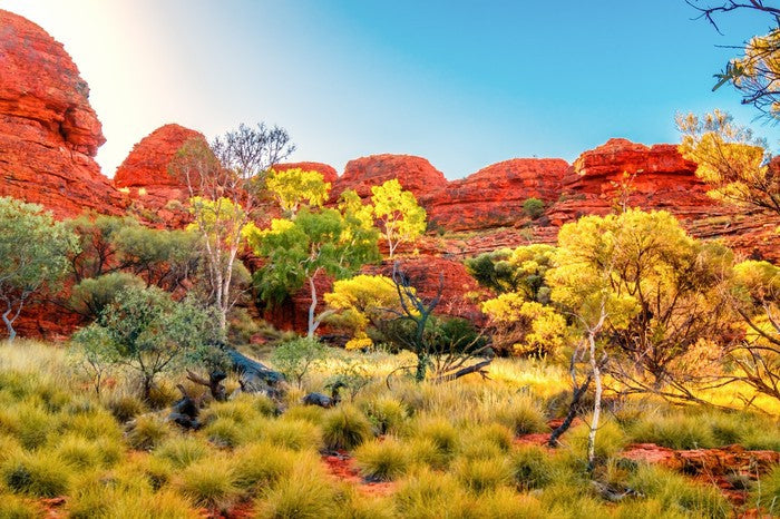 The colours of the Outback