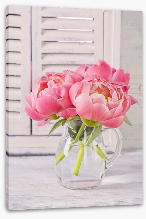 Peonies by the window
