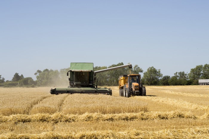 Agriculture