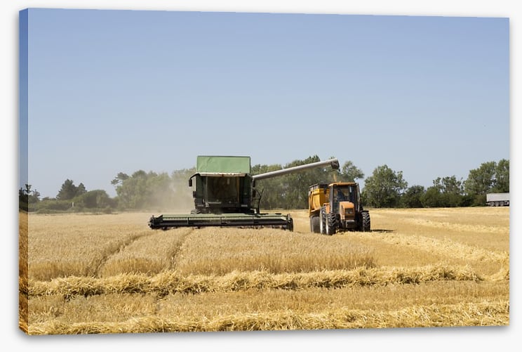 Agriculture