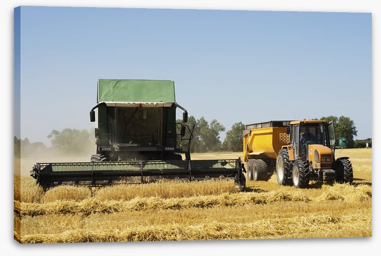 Agriculture