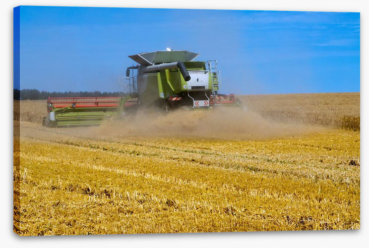 Agriculture